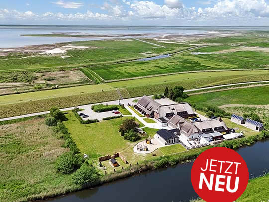 Foto: Hattstedtermarsch / Wattenmeer